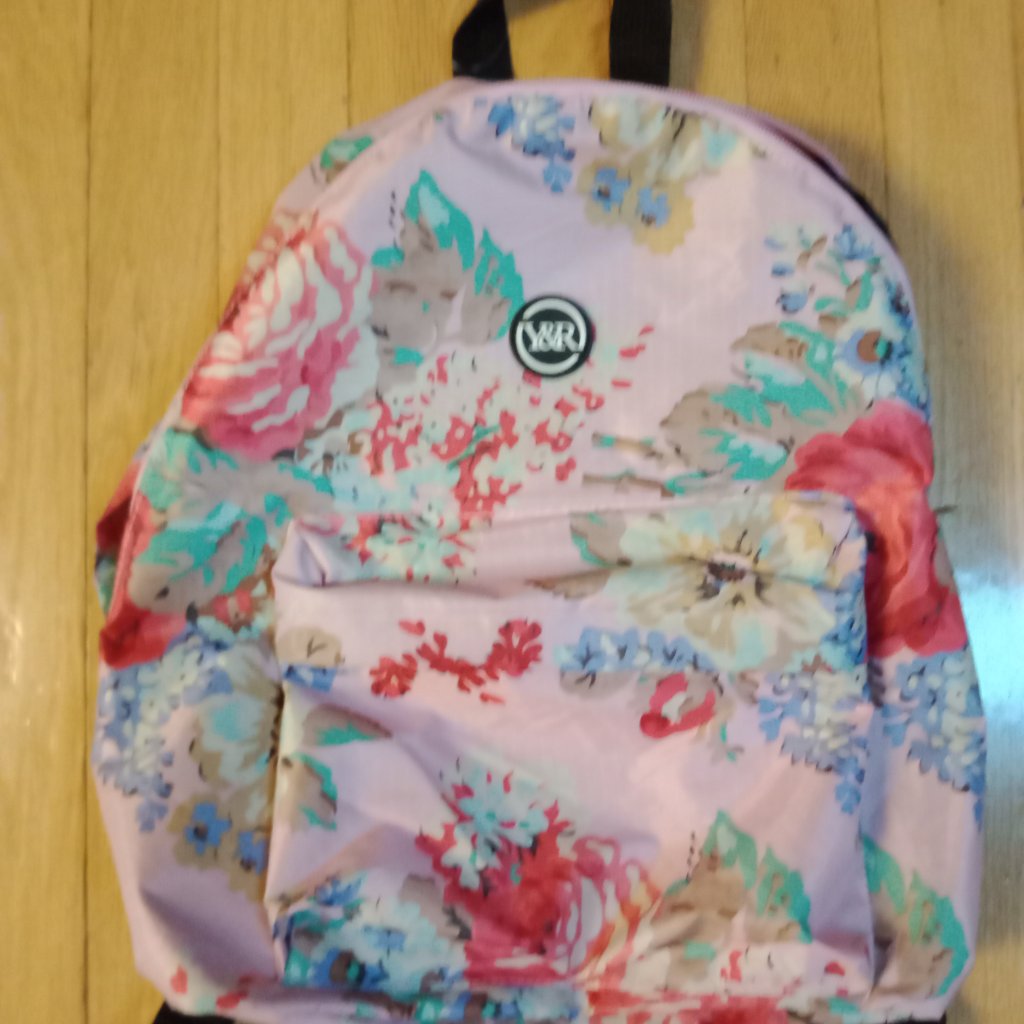 Young &Reckless Backpack